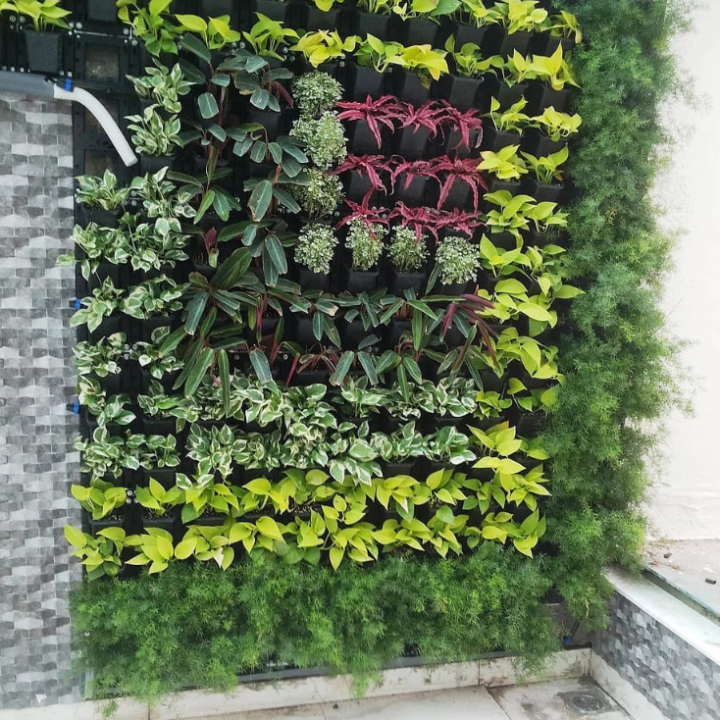 Untitled design - 2024-05-28T171418.601