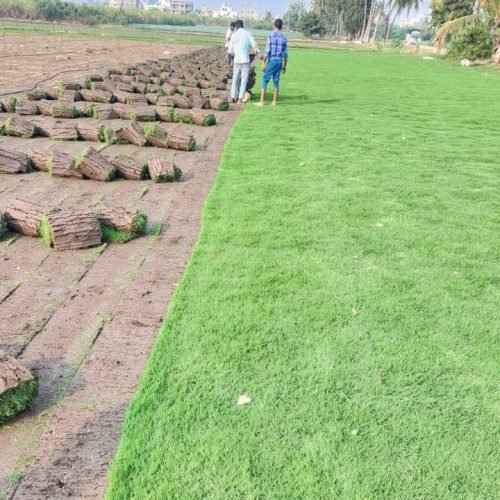 WhatsApp Image 2024-06-04 at 7.43.22 PM