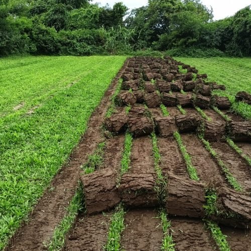 WhatsApp Image 2024-06-04 at 7.43.43 PM