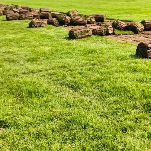 WhatsApp Image 2024-06-04 at 7.44.24 PM