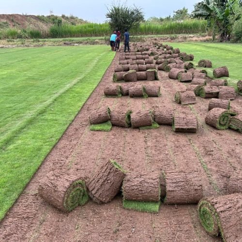 WhatsApp Image 2024-06-04 at 7.44.45 PM