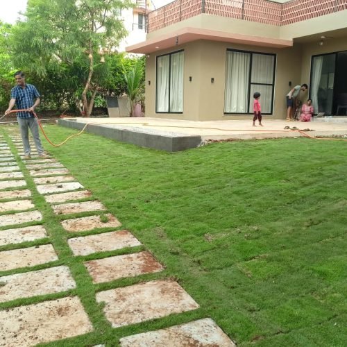 WhatsApp Image 2024-06-29 at 8.24.45 PM